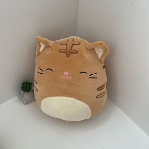 Nathan squishmallows